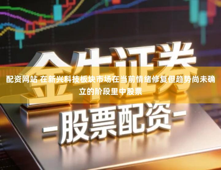 配资网站 在新兴科技板块市场在当前情绪修复但趋势尚未确立的阶段里中股票